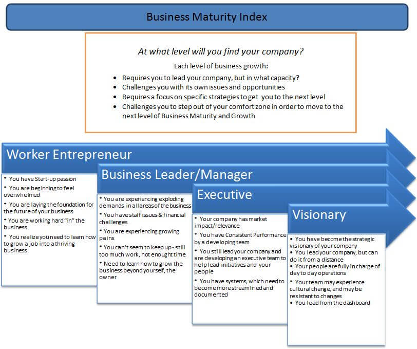Business Maturity Index